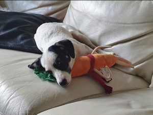 Amy