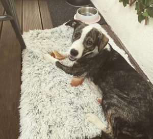 Chira