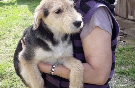 Roko in sicheren Armen