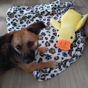 Tilly Verschmuste Tilly