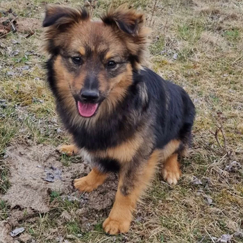 Hübsche Lilou