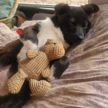 Kleine Tina