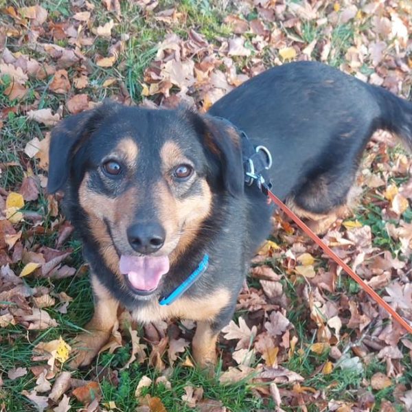 Freundliche kleine Lina