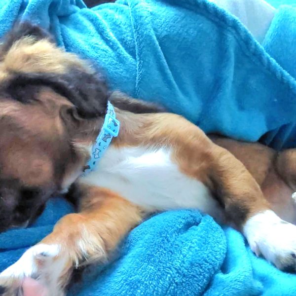 Feinfühliger Moritz