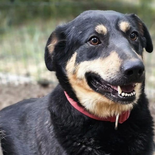 Menschenfreundin Mara