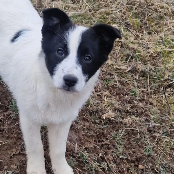 Naturliebhaberin Nelly