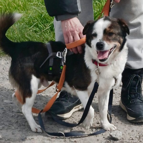 Fröhlicher John Boy