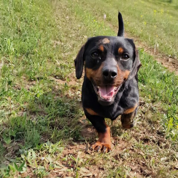 Menschenfreundin Keiko