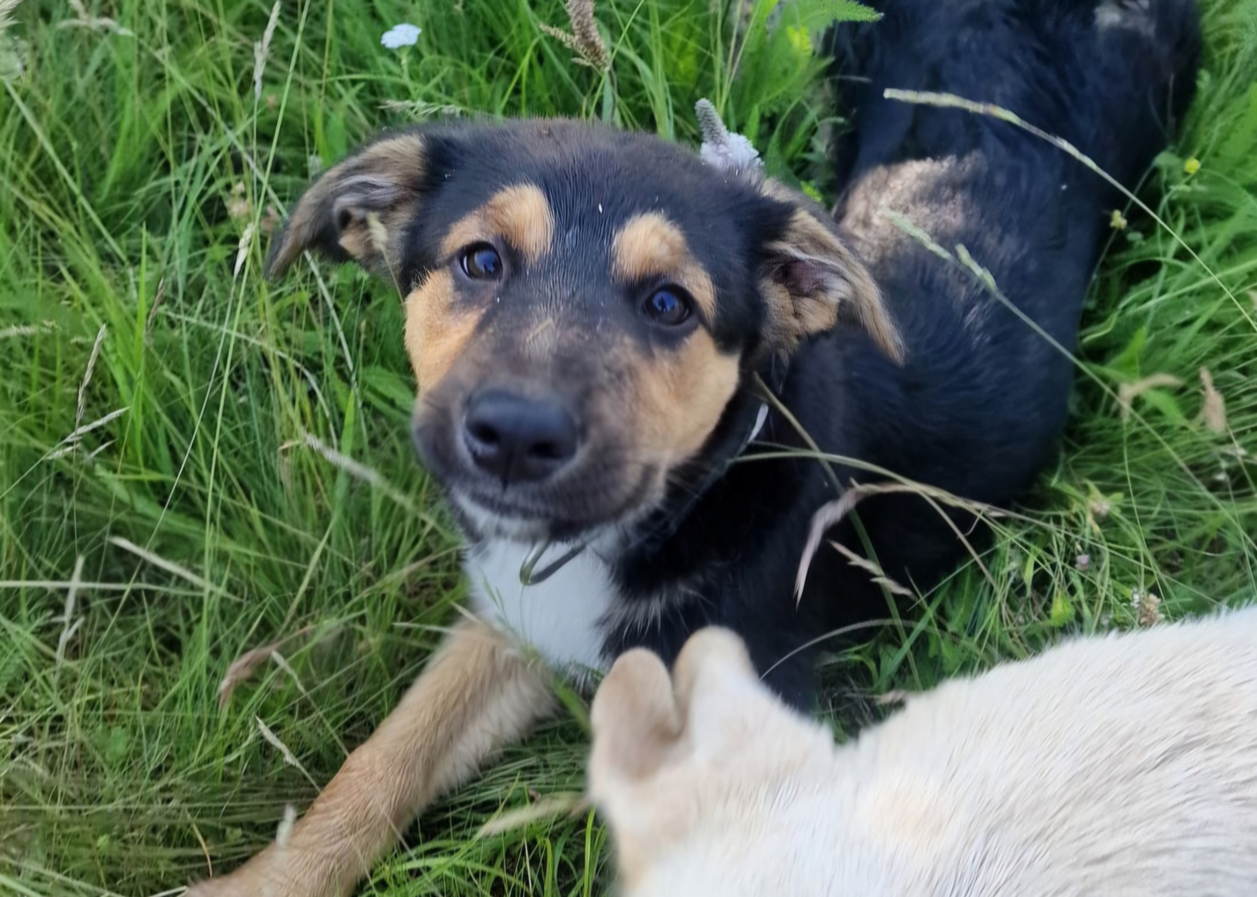 IMG-20260620-WA0048(1)