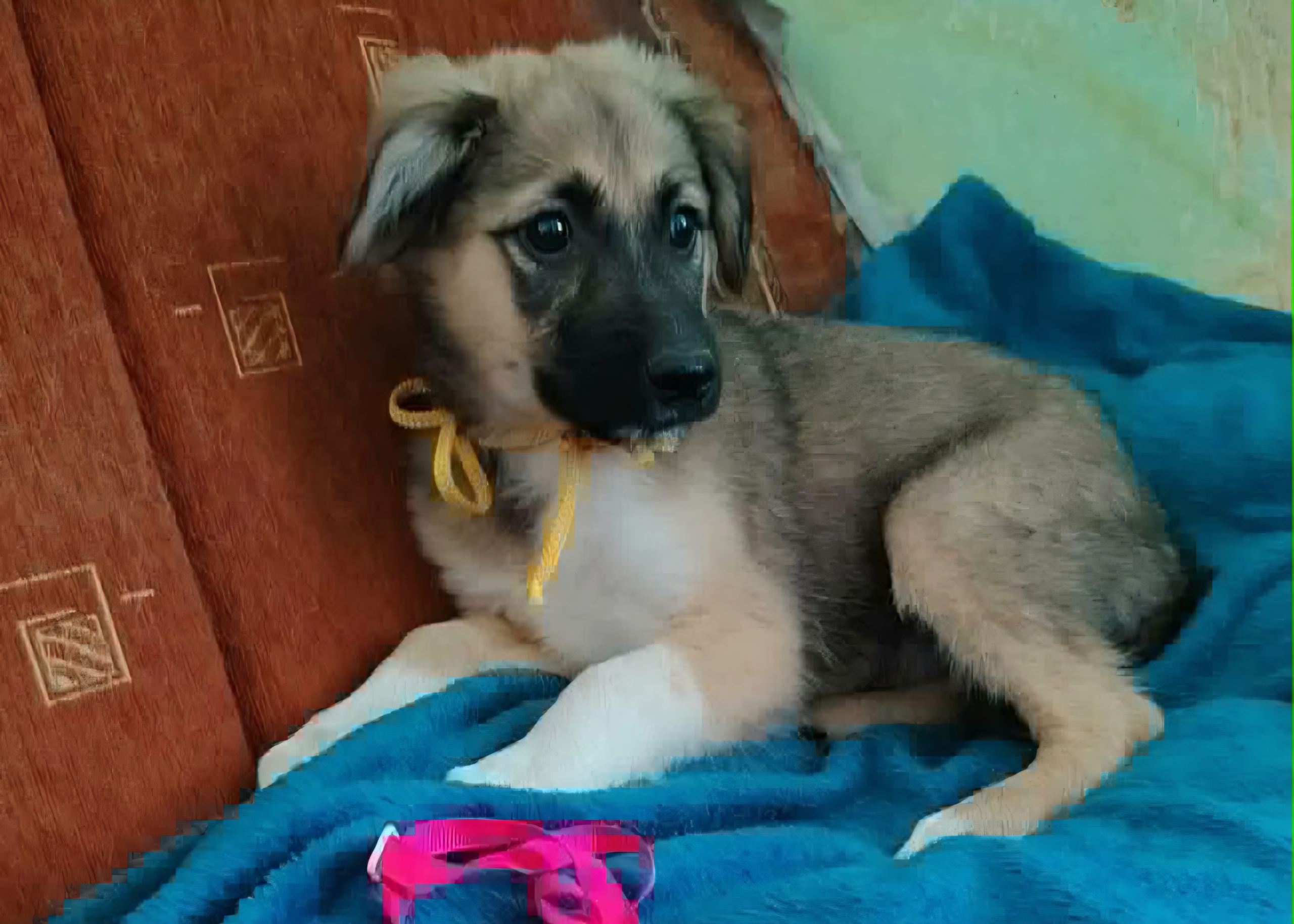 IMG-20260714-WA0008 Cooper
