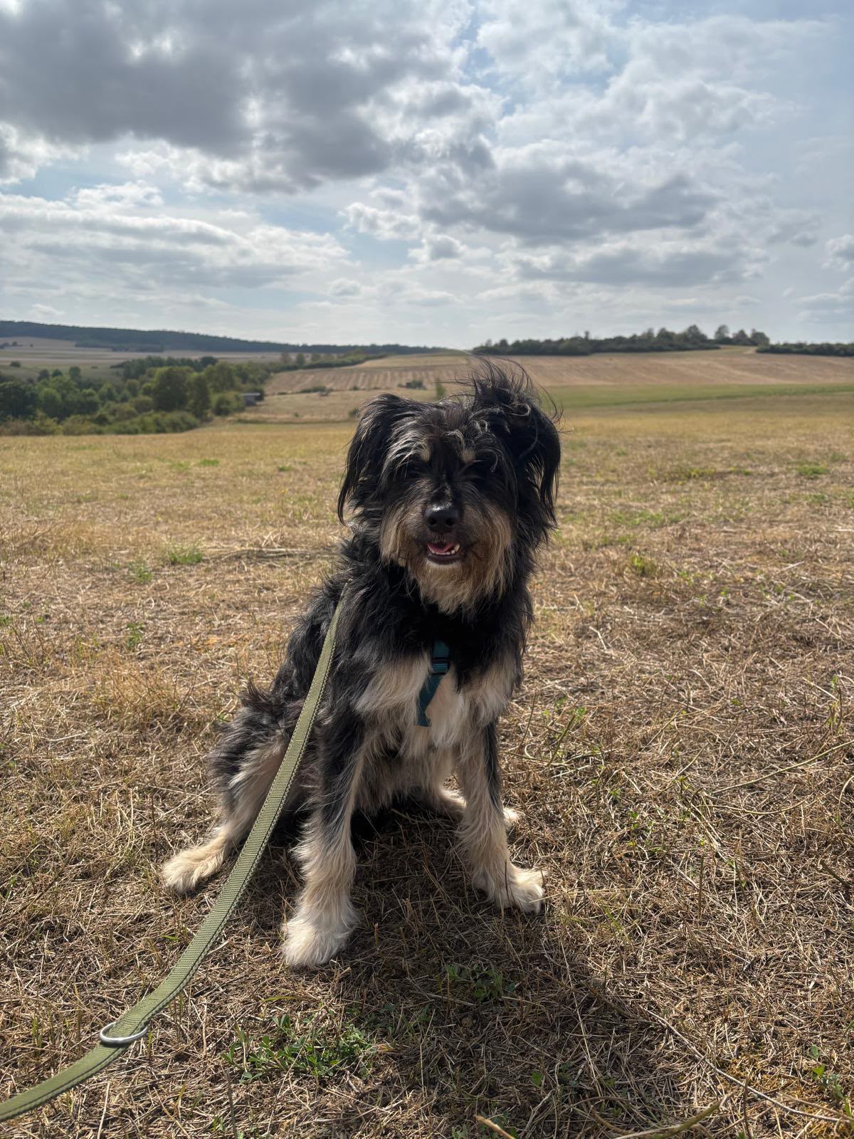 Benito Frohnatur Benito