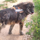 Verschmuste Bonnie mit Handicap