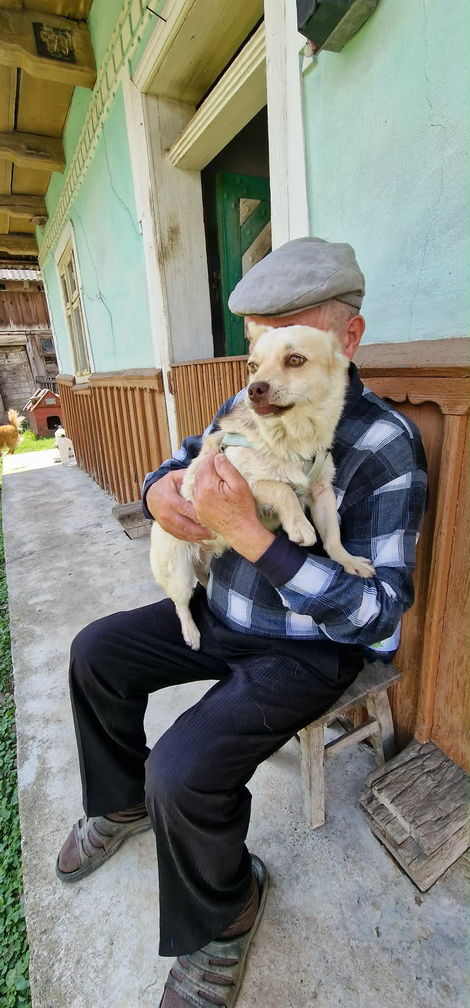 Bob Unkomplizierter Bod