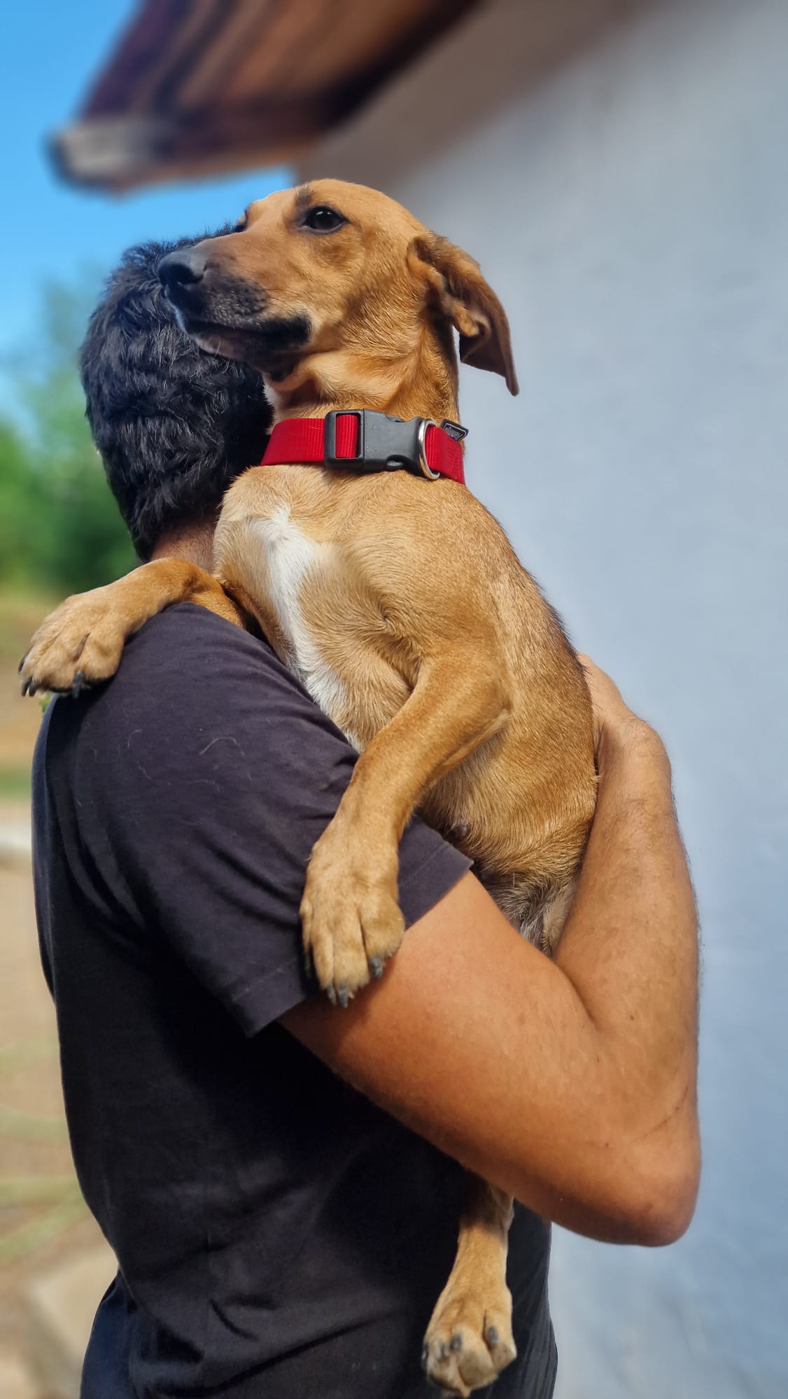 Entspannte Lulu