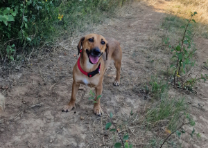 Entspannte Lulu