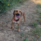 Entspannte Lulu