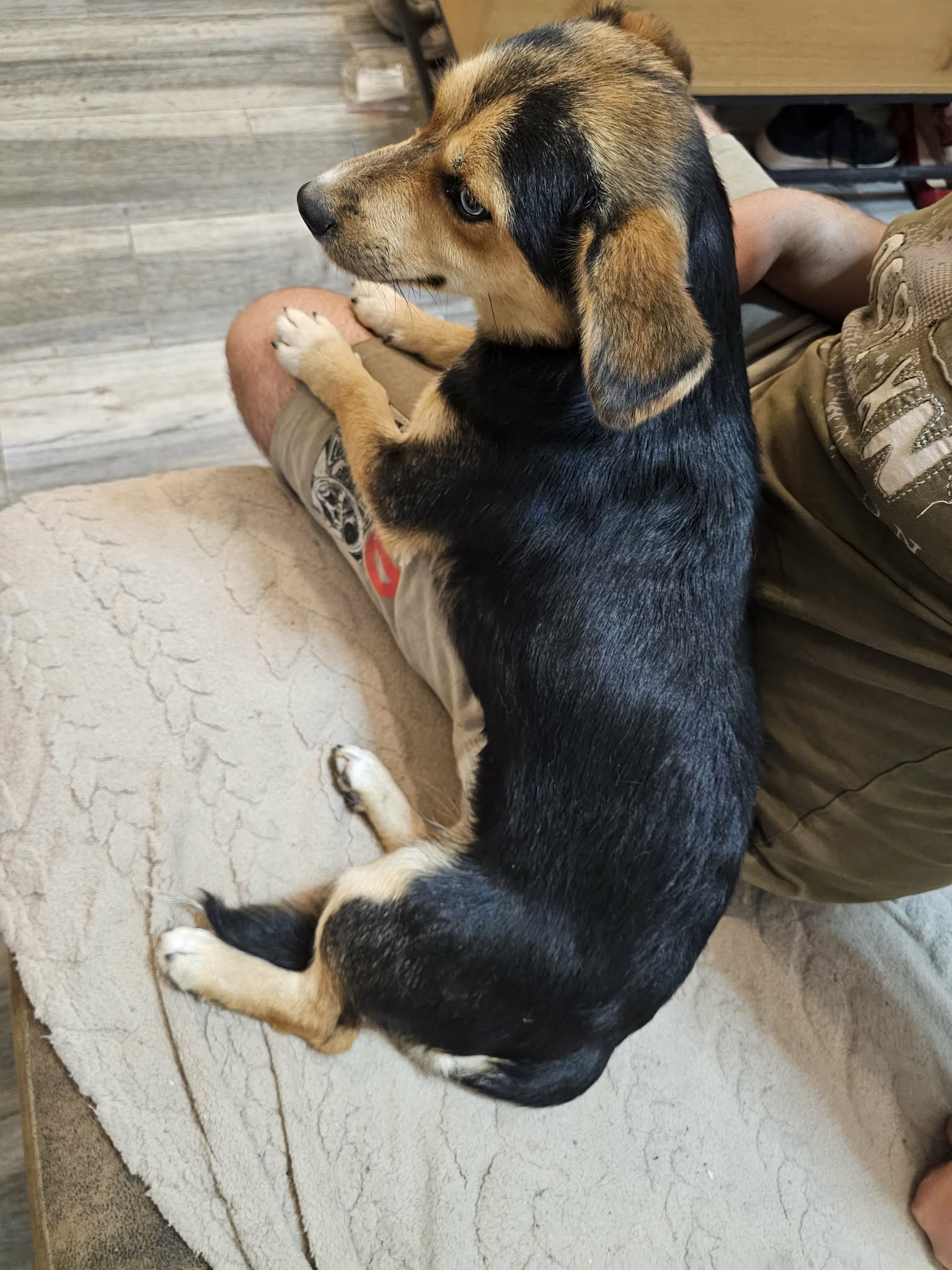 Charlie Kumpeltyp Charlie