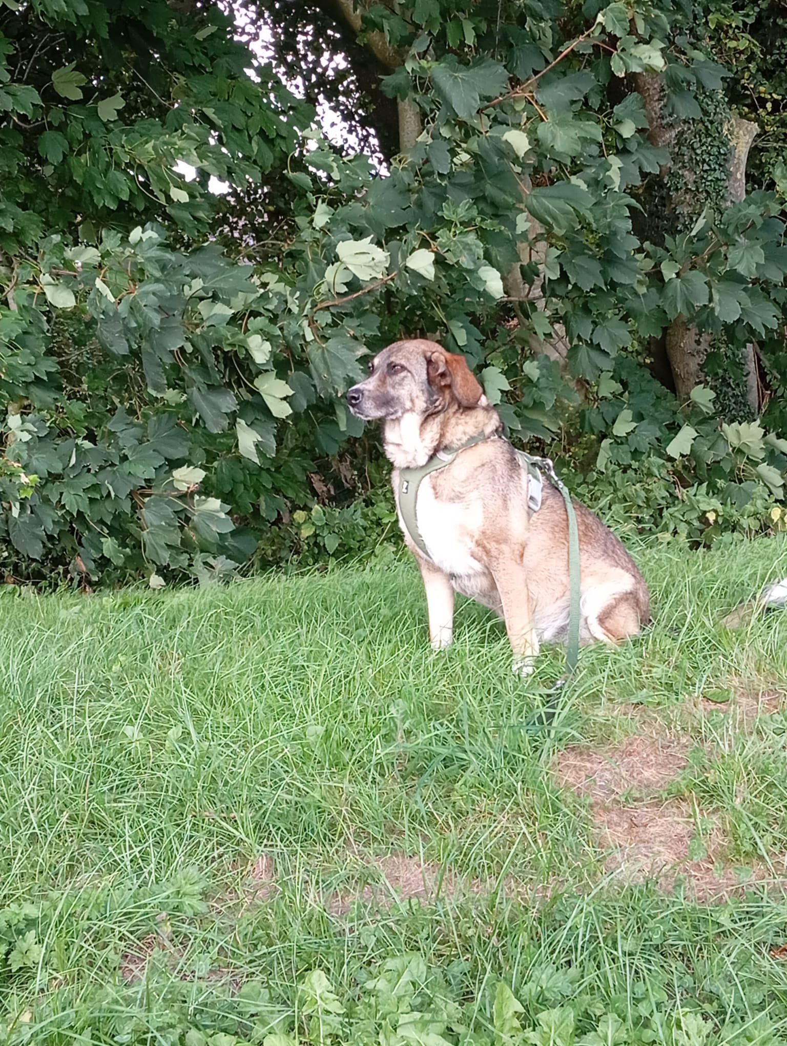 Emma Gemütliche Dame Emma
