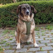 Gemütliche Dame Emma