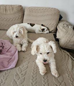 Lucy und Baby Lucy und Baby - die Unzertrennlichen