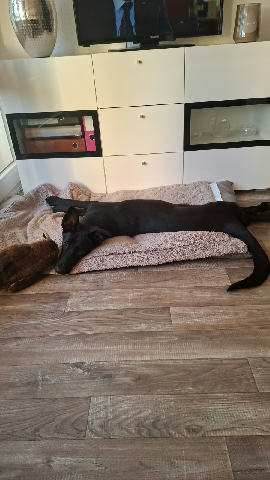 Mia Sportliche Mia