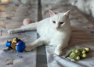 Casper Hübscher Casper
