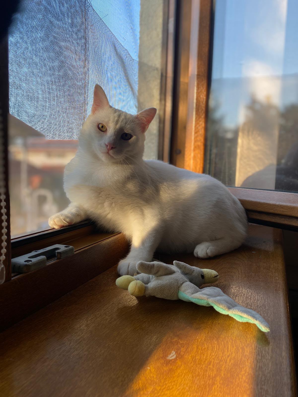 Casper Hübscher Casper