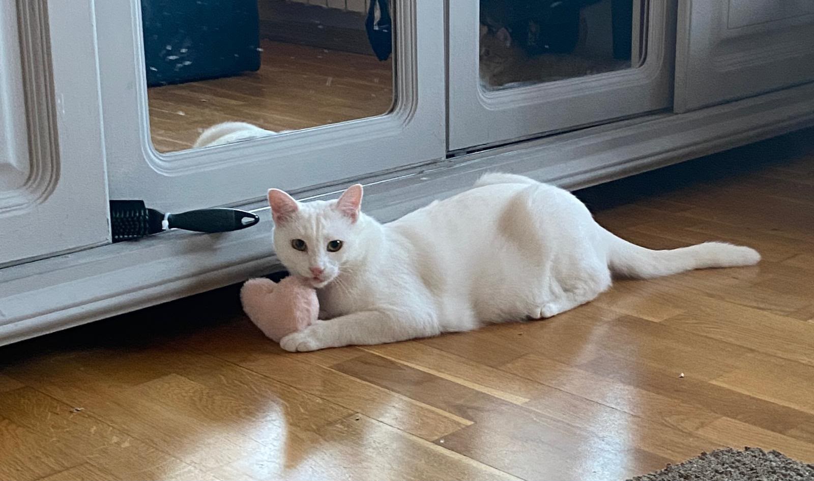 Casper Hübscher Casper