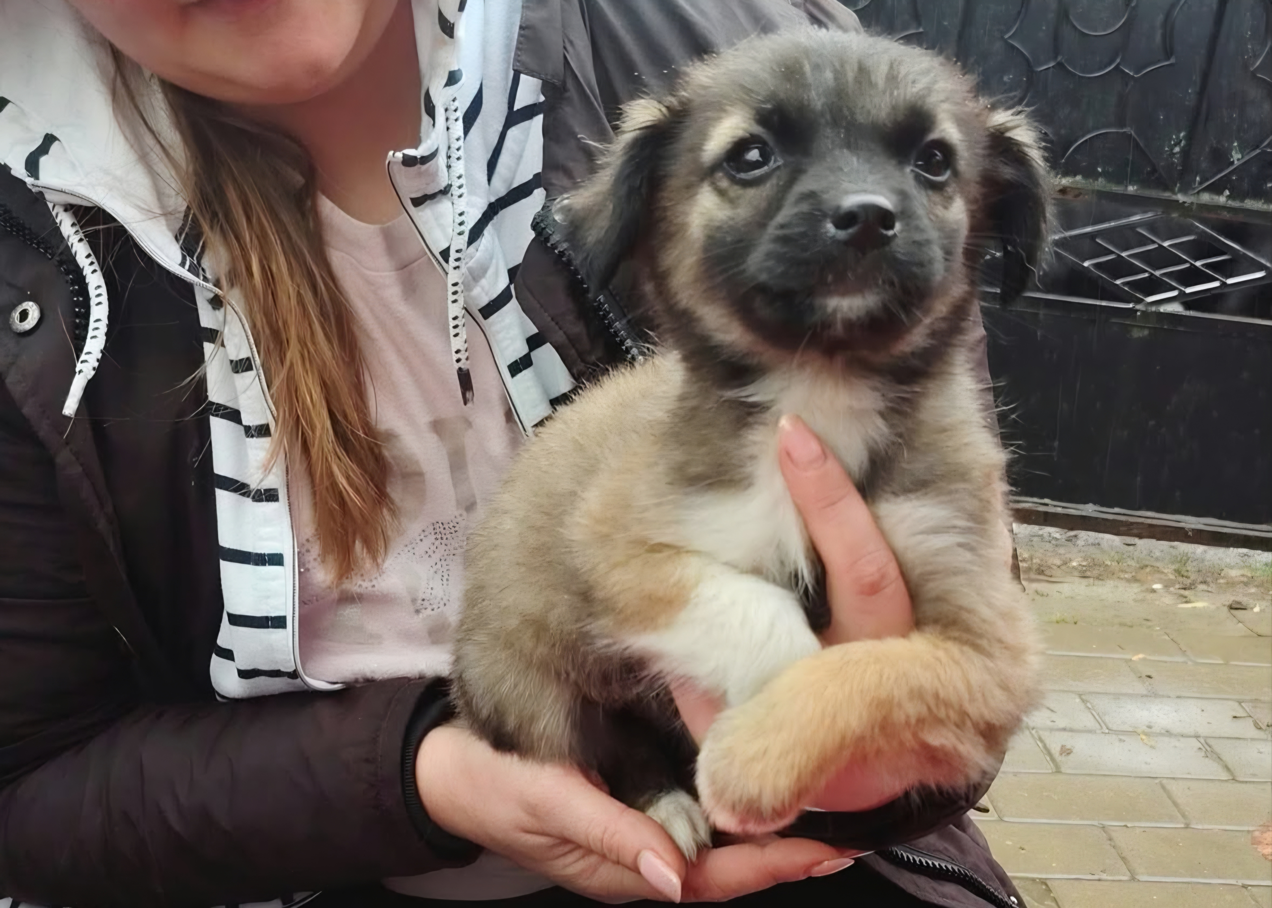 Freundlicher Thor